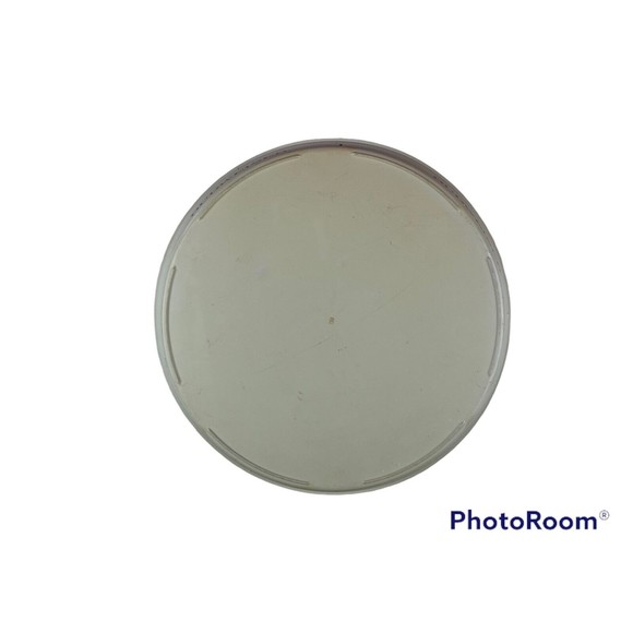 Vintage 1980's Budweiser Lager Beer 13" Plastic Serving Tray, Anheuser-Busch - Picture 2 of 6